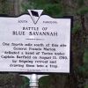 BATTLE OF BLUE SAVANNAH REVOLUTIONARY WAR MEMORIAL MARKER