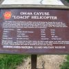 OH-6A CAYUSE "LOACH" HELICOPTER MEMORIAL PLAQUE