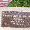 CORNELIUS M. CALPIN WAR MEMORIAL TREE PLAQUE