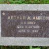 ARTHUR A. AMRON WAR MEMORIAL TREE PLAQUE
