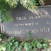 PAUL C. BOUCHET MEMORIAL TREE PLAQUE