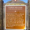 CATHAY WILLIAMS WAR MEMORIAL MARKER