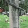 SAM'L J. KIRKWOOD CORPS 78 CIVIL WAR MEMORIAL TREE