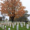 AMERICA'S MEDAL OF HONOR RECIPIENT MEMORIAL TREE