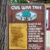 CIVIL WAR TREE MEMORIAL PLAQUE