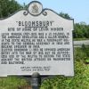 "BLOOMSBURY" WAR MEMORIAL MARKER
